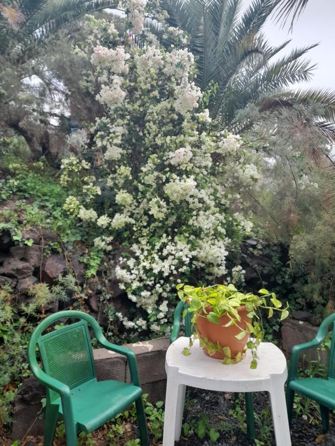 Apartament -The Garden - Las Palmas de Gran Canaria Zewnętrze zdjęcie